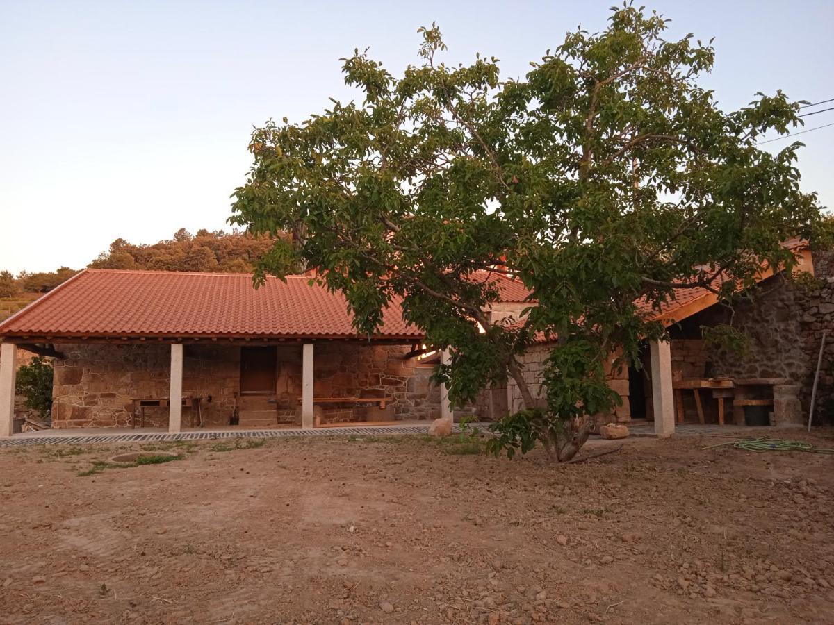 Quinta Do Passadico Villa Lamego Eksteriør billede