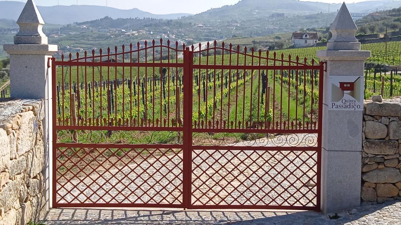 Quinta Do Passadico Villa Lamego Eksteriør billede