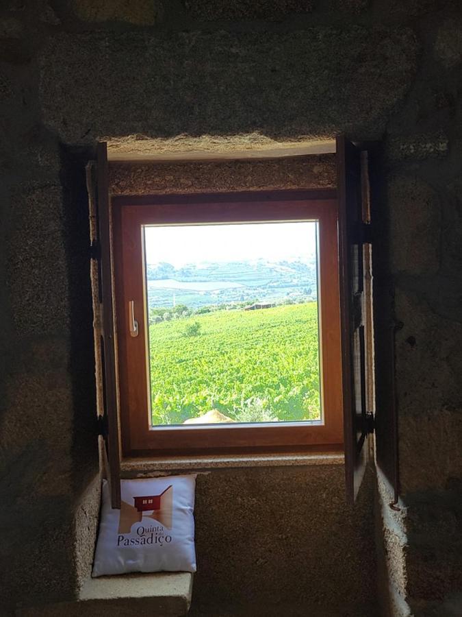 Quinta Do Passadico Villa Lamego Eksteriør billede