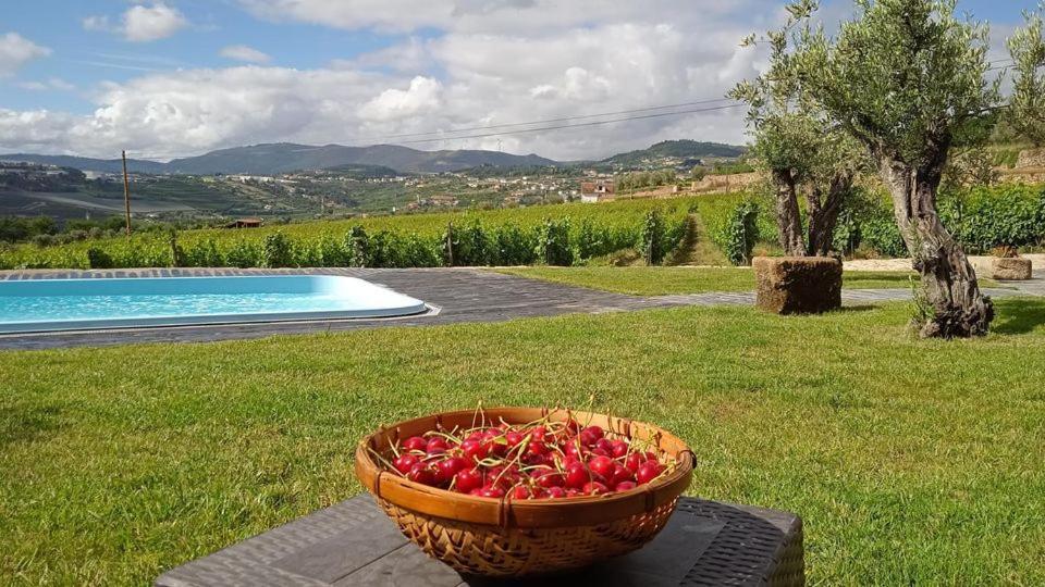 Quinta Do Passadico Villa Lamego Eksteriør billede